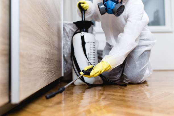 Best Termite Control Services  in Pughtown, PA