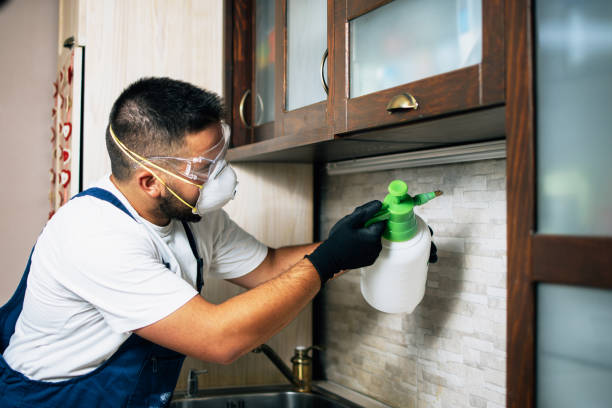 Best Wasp Removal Services  in Pughtown, PA