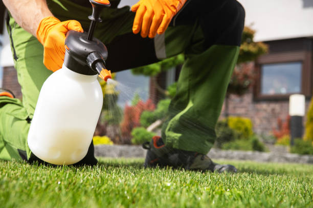 Best Flea Control Services  in Pughtown, PA