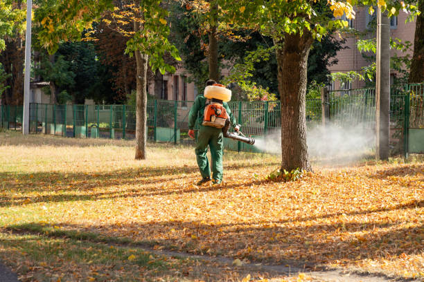 Pest Prevention Services in Pughtown, PA
