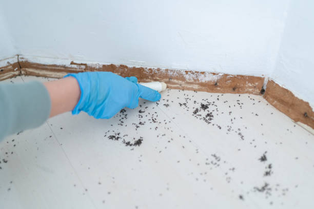 Best Pest Control Near Me  in Pughtown, PA